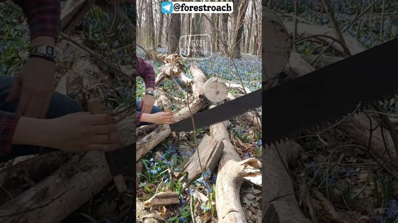 МАЛЕНЬКАЯ ПИЛА ДЛЯ ЛЕСА #бушкрафт #выживание #нож #bushcraft #ковка #forest #самоделки #бушкрафт