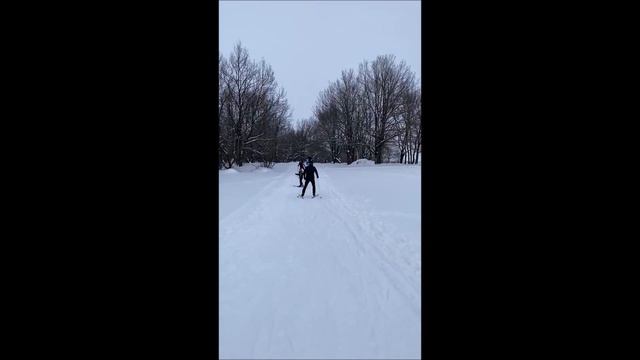 Семья Шустовых. Игровая площадка «На прогулку всей семьей!» смотреть онлайн