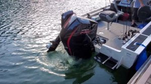 Mercury 225 Pro XS V8 Startup