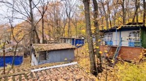 База отдыха, п. Рамонь Воронежская область