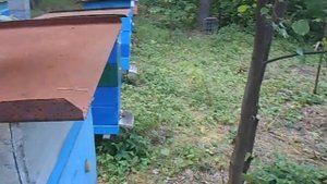 многокорпусные ульи на 230 и 145 рамку