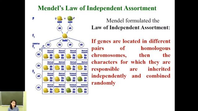 Mikheeva_N_A_9_Biology_28.03.2022 смотреть онлайн
