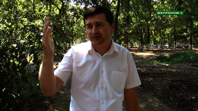 12-я сессия Тбилисского сельского поселения (ТРК"Метроном-3") смотреть онлайн