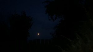 Паук съел осу | уехали домой