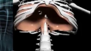 Тренажер Фролова: Осваиваем правильное дыхание - Часть 1