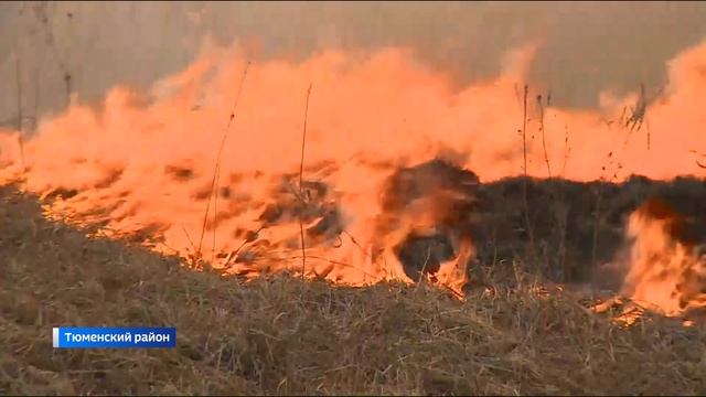 Жителям сгоревших в Салаирке домов выдадут компенсации смотреть онлайн