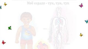 Анатомия для детей