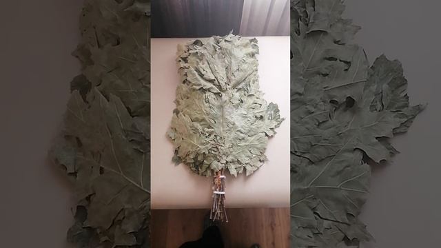 Дуб Канадский смотреть онлайн