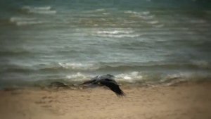 Nice Weekend [Анапа]