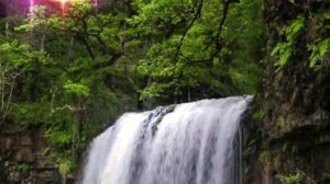 Что нельзя выбрасывать из дома. Какие вещи нельзя выкидывать из дома 4