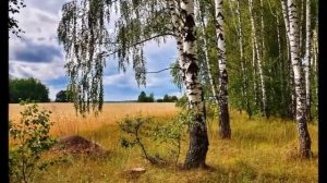 Даль великая - поёт и монтаж Антонина Киселёва-Васильева