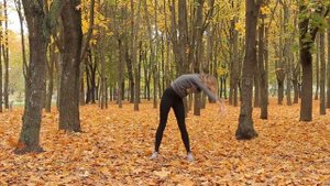 Как научиться делать колесо для начинающих дома? Фитнес ТВ