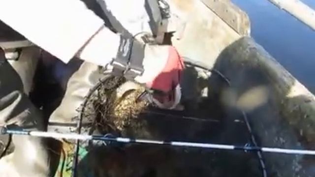 Ловись рыбка большая и маленькая смотреть онлайн