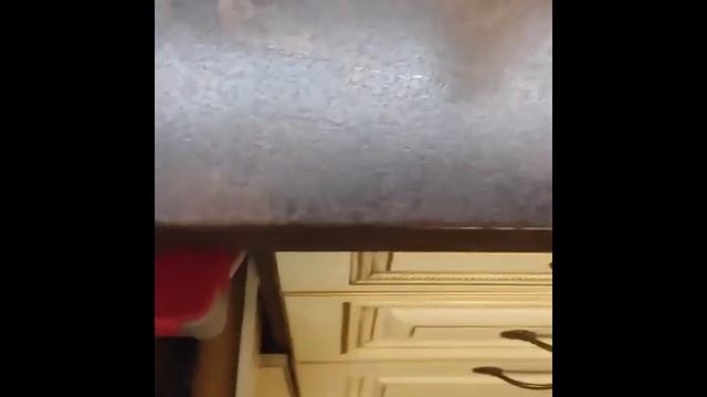 как правильно готовить пельмени смотреть онлайн