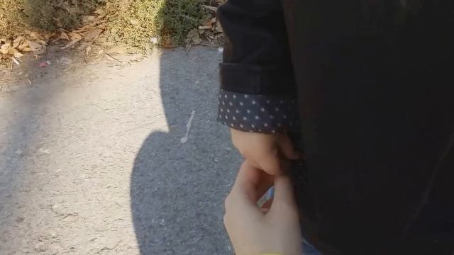 Vlog: кормим голубей, гуляем по аллее, идем в детский магазин, спим в коляске смотреть онлайн