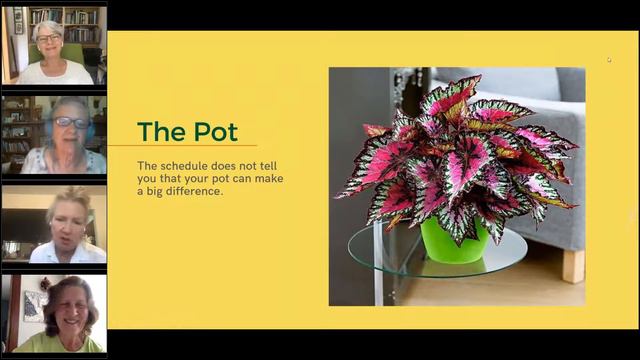 How to Enter the Minnesota State Fair Potted Plant Show смотреть онлайн