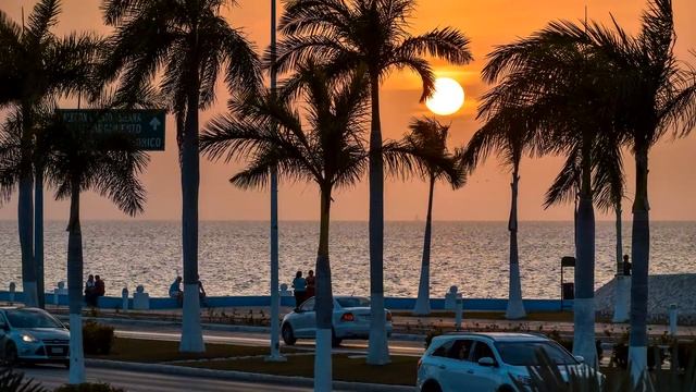 NIKON D3400 FOTOS 2020 смотреть онлайн