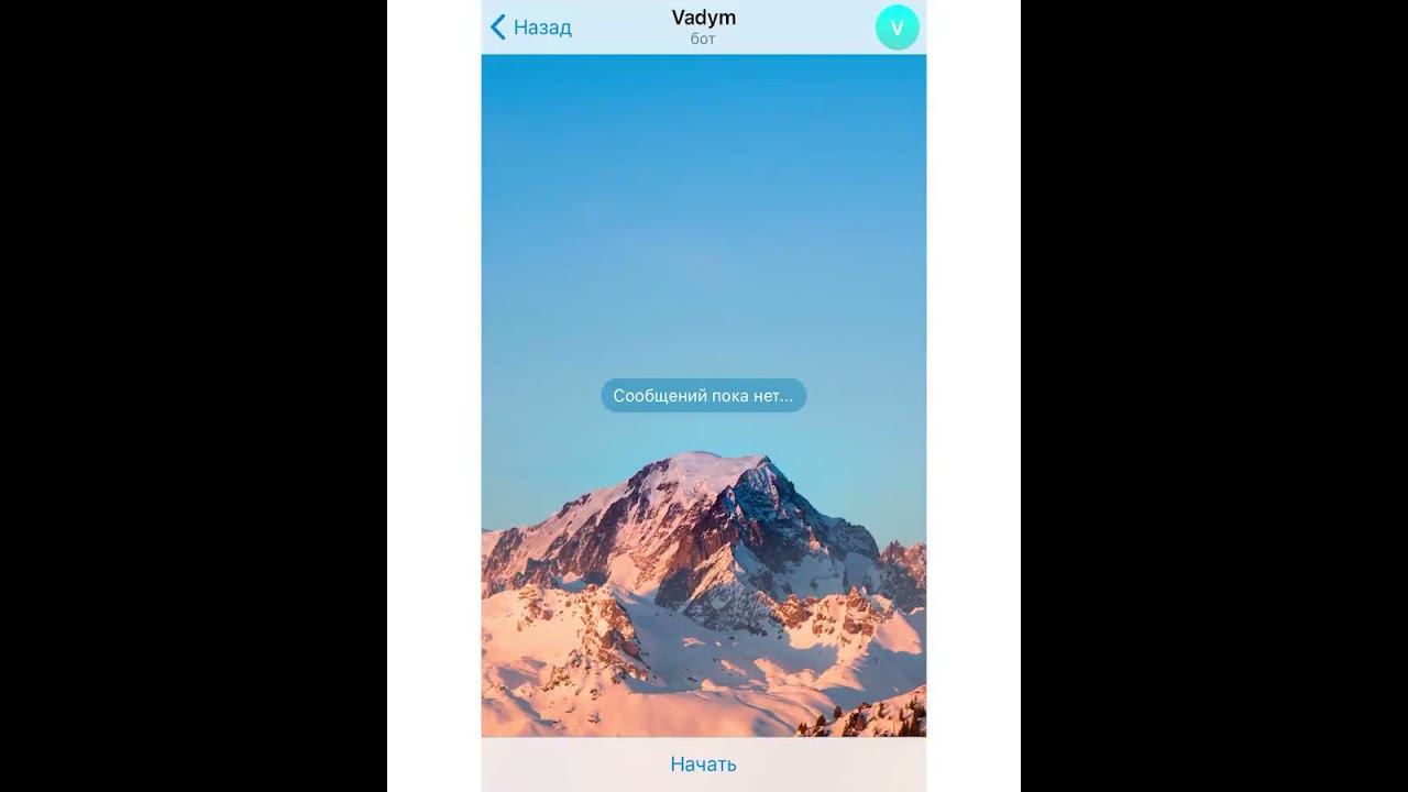 Чат в телеграмм и ватсап. speakASAP®. Елена Шипилова®. смотреть онлайн