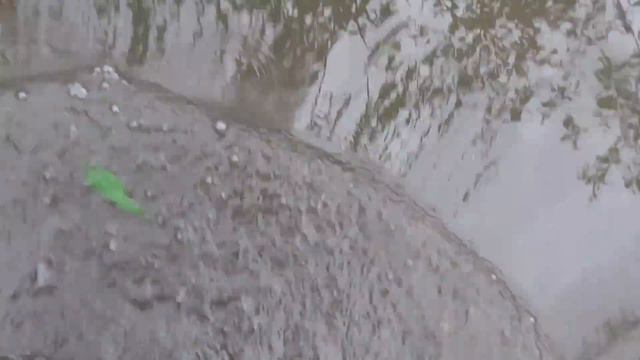 Продолжаем охоту на бобров смотреть онлайн