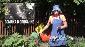 Применяйте ЭТО!!! Известняковая \ Доломитовая мука ☘ Супер Раскислитель почвы
