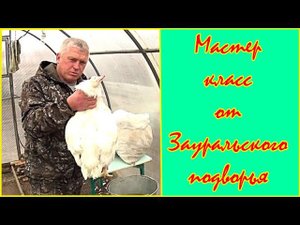 Быстрый ощип кур руками Где и как я обрабатываю птицу