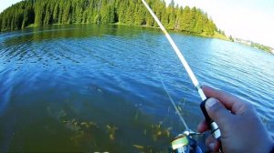 Рыбалка на небольшом водоёме в Пермском Крае на УЛЬТРАЛАЙТ #спиннинг  #пермь #рыбалка в перми