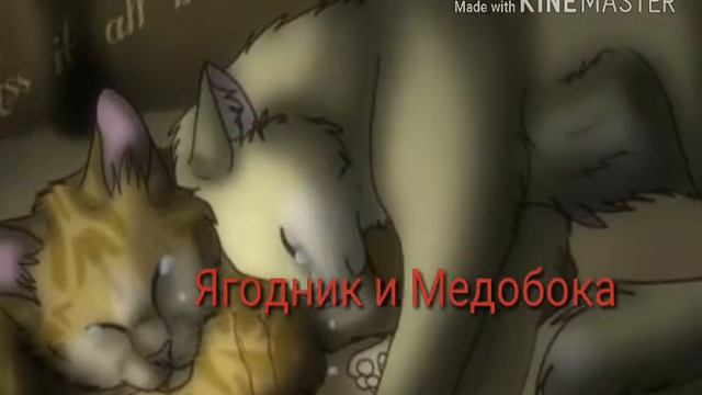 Пары Котов-Воителей (2 часть) смотреть онлайн