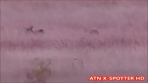 Невероятный зум! Лучшая цифровая зрительная труба ATN X-Spotter