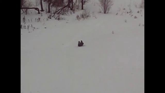 Лайфхак с курткой смотреть онлайн