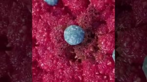 иммунотерапия при лечении рака