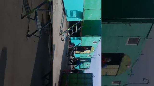 23 02 2020 Жибек базар зоопарк 6 смотреть онлайн