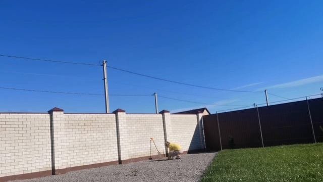 ВЛОГ:Белгород сегодня. 11.10.2022 Школы Белгорода перевели на дистанционное обучение