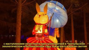 Город Чанчунь Китая: Ослепительный фестиваль фонарей создает атмосферу Нового года