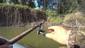 "Макалка" на хищника в сентябре! Ловля на лягушку на Оби.