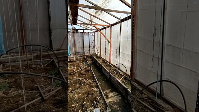 Видеообзор дачи в СНТ "Лайнер" смотреть онлайн