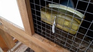 ЗИМНЕЕ ПОЕНИЕ КРОЛИКОВ, ПЕРЕЗАГРУЗКА.