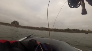 Ловля щуки нахлыстом