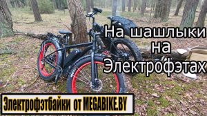 ⚡️На шашлыки на электрофэтах. Электрофэтбайки от Megabike.by.