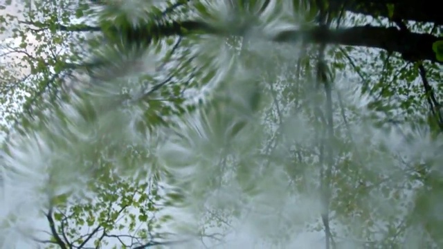 ЛИВЕНЬ смотреть онлайн