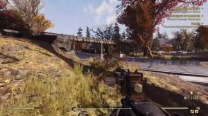 Мэддисон получает удовольствие в Fallout 76