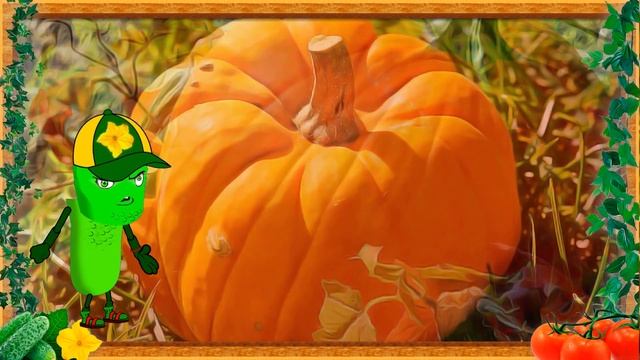 НЮАНСЫ ПОСАДКИ ТЫКВЫ ЗНАЙ ИХ! смотреть онлайн