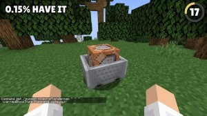 35 Rarest Minecraft Items!