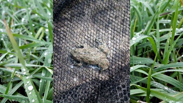 Обитатели моей земли ч1