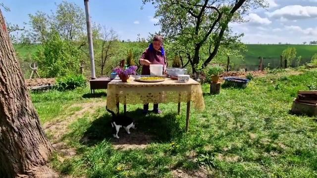 Мёд из одуванчиков с лимоном  Азербайджанская кухня Деревенская Кухня Рецепты бабушки