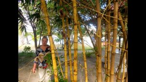 Отель Siam Beach  (остров Ко Куд, Таиланд)