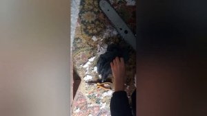 Как хранить бензопилу зимой