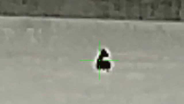 тепловизор Iray SCT 35. Охота на косулю смотреть онлайн