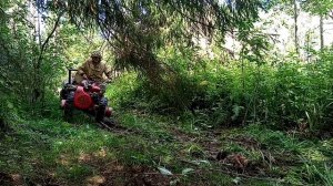 Вывозим валежник из леса