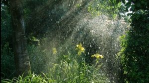 Диктант для 5 класса "Летняя гроза" с проверкой