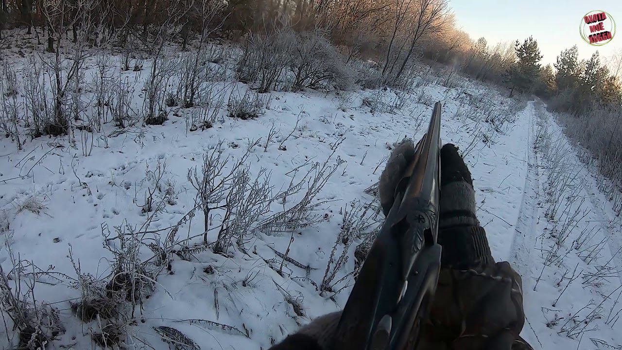 Охотник года!! охота на зайца. Есть МАТ! это эмоции.... смотреть онлайн